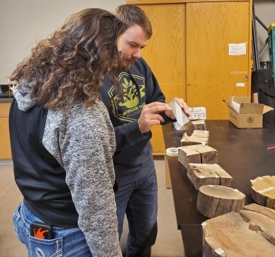 A young professor and his assistant examine wood samples in a wood laboratory; he has Michigan Tech on his sweatshirt and there are wood cabinets in the background