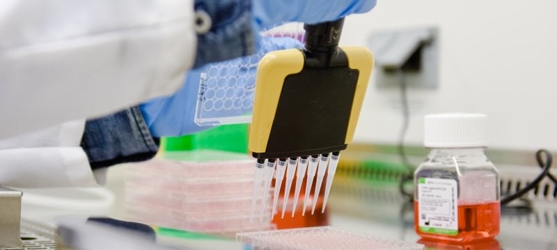 A person uses an injection tool to prep vaccine cultures.