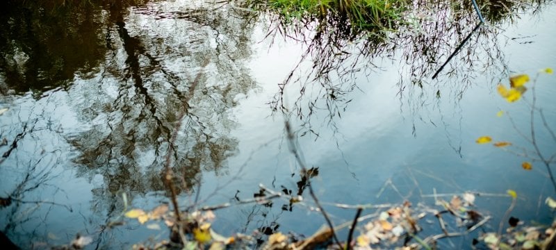 Trees and clouds are reflected in water.