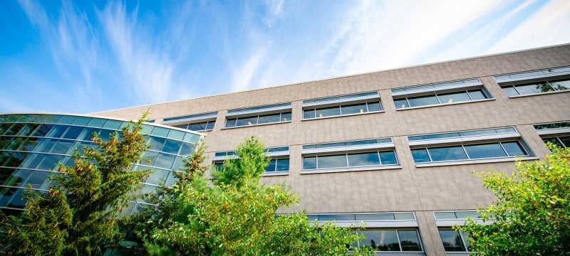 Exterior shot of a stone library building with evergreens and deciduous bushes in front with a bank of all windows to the left and blue sky above outside in summer.