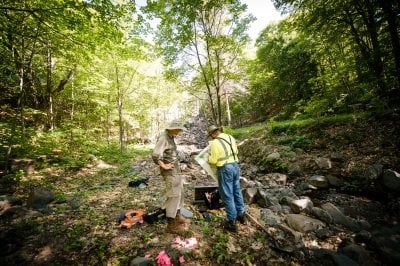 Two people look at a map in the woods.