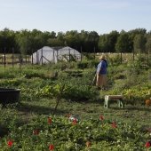 An Anishinaabe woman stands in a thriving garden.