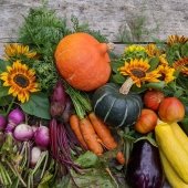 An artful arrangement of pumpkins, turnips, beets, carrots, squash, eggplant, dill, and sunflowers.