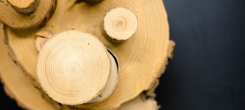 Top view of small wood cross-section cuts of different sizes stacked artfully on a bigger stump. 