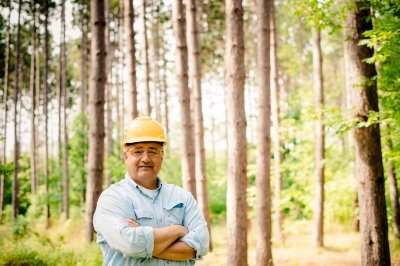 A man wearing a hardhat stands with his arms crossed and glasses on in a red pine forest with a blue sky and sparse canopy.