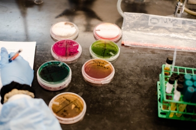 A person's gloved hand writes notes. Next to the writing hand are petri dishes marked with different samples.