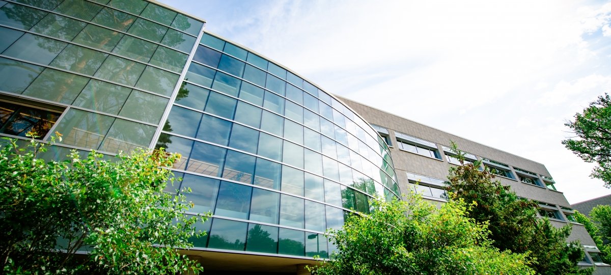 The library building on campus has high walls full of windows.