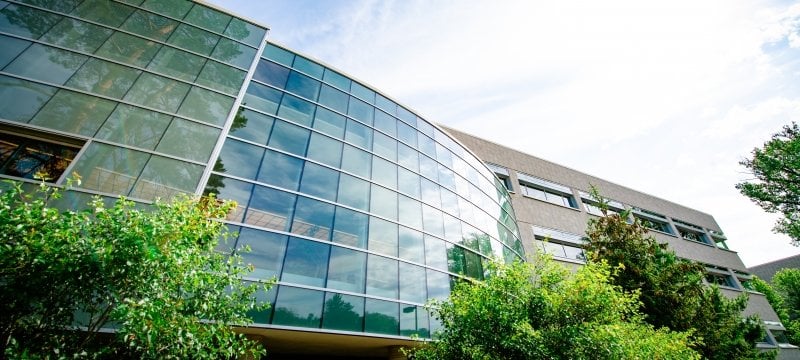 The library building on campus has high walls full of windows. 