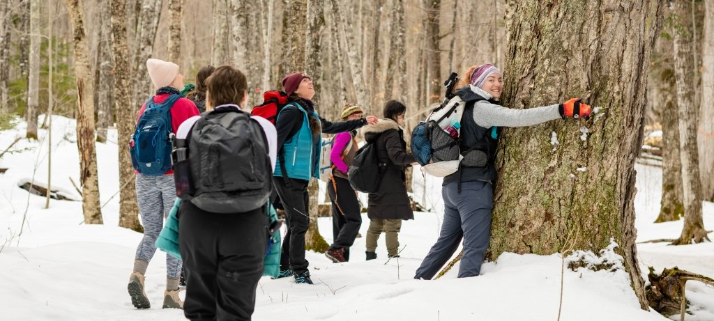 One student hugs a tree and the others look around in a snowy wilderness forest as they explore the psychology of nature.
