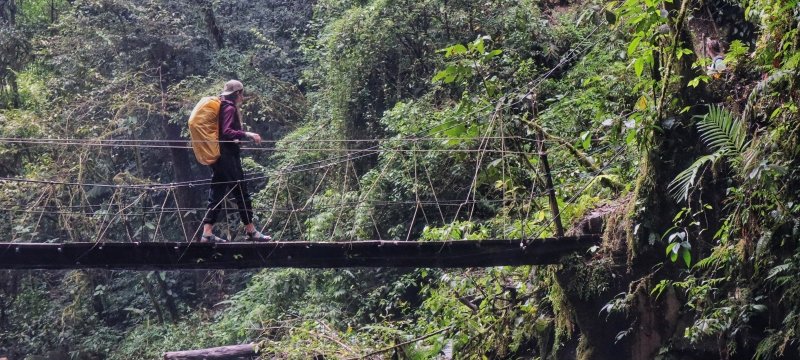 A Michigan Tech environmental engineer walks in a Costa Rican cloud forest.