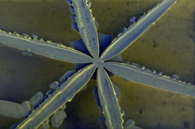A microscopic image of a snowflake resembling the spokes of a wheel, artificially colored in green and blue.