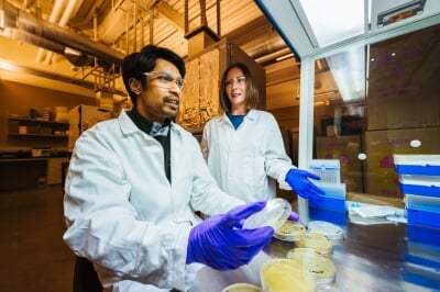 Trista Vick-Majors and KM Shafi examine petri dishes with bacteria samples in a lab setting.
