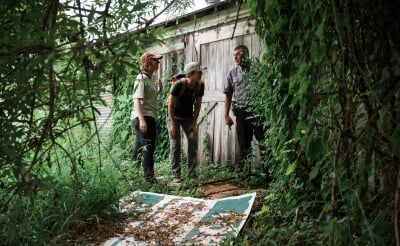 Kristin Brzeski, Bridgett vonHoldt and Animal Service worker peer through foliage near an overgrown building.