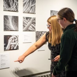 Elizabeth Miller and an exhibit attendee point at black and white microscopic images on display in the Rozsa Art Galleries.