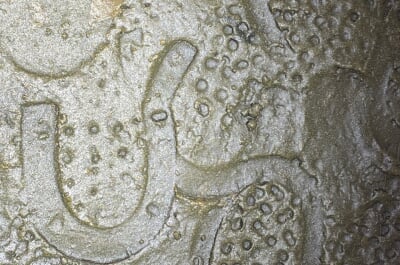 Preserved boot prints visible in the floor of the Adventure Mine in Michigan's western Upper Peninsula, left behind by miners while the site was still active.