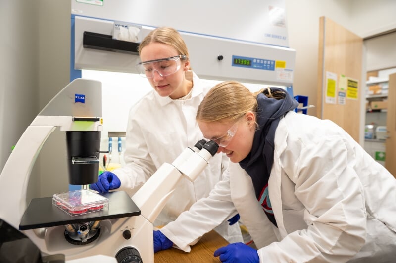Two students in white lab coats and blue gloves examine samples using a microscope in a laboratory setting.
