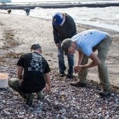 Five students collecting pebbles along the Lake Superior shoreline.