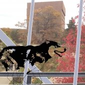 Painting of a husky dog inside of the library bridge.
