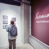 Nanowonder: Images of the Microscopic World; Rozsa Art Galleries Exhibition, Fall 2025