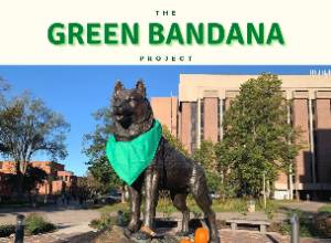 green bandana project
