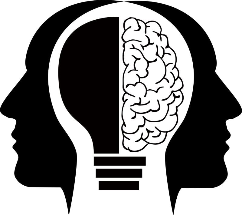 picture of 2 heads together with brain and lightbulb at the center
