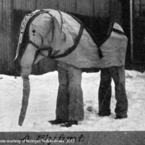 Two students dress in an elephant costume outside in the snow.