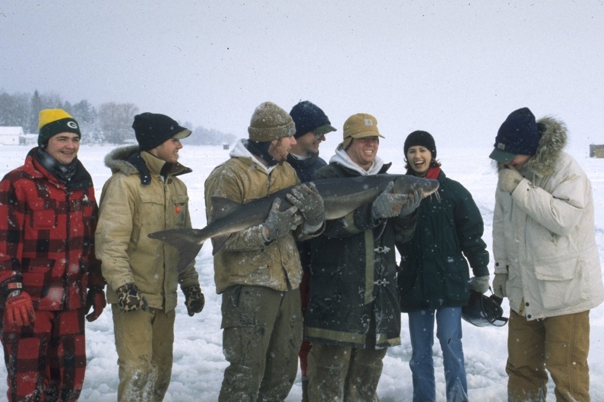 Seven young people in winter clothes stand on the ice outside in the snow. Three of them are holding a giant whiskered fish; they are all smiling.